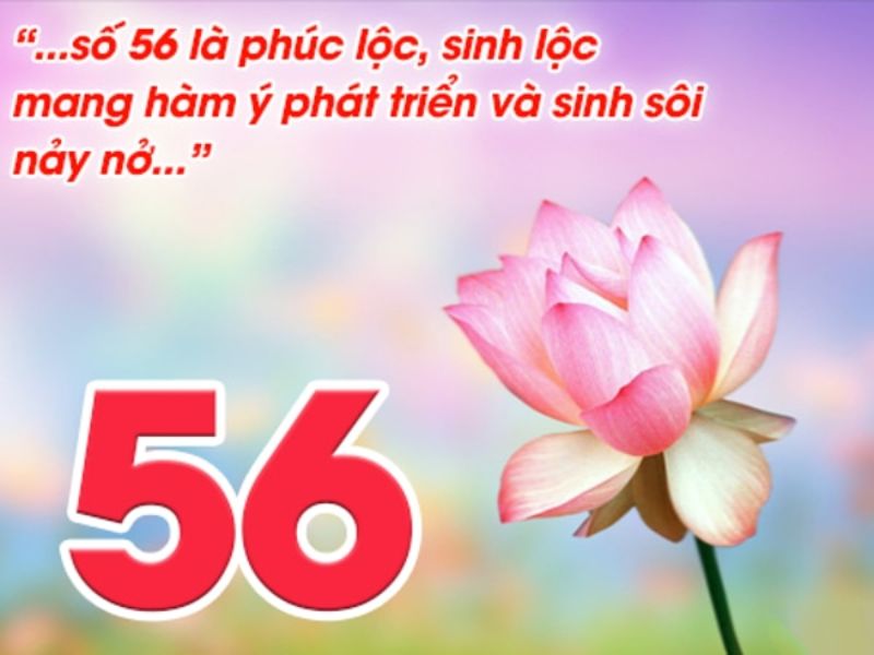 Dùng cách soi cầu quả trám khi đề về 56 Dùng cách soi cầu quả trám khi đề về 56